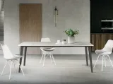 Maya