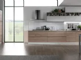 Luna Ghiaccio e Miele